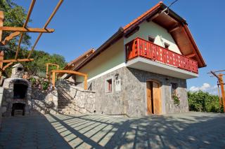 Vineyard Cottage Lustek - Novo Mesto - 9