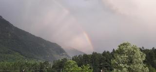 The Paradise, Old Manali - 6