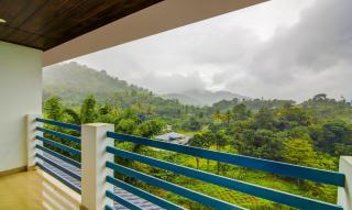 Misty Garden Resort and SPA - Munnar - 4