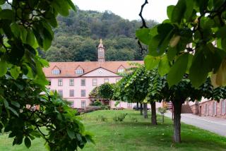Hôtellerie du Couvent Oberbronn - Oberbronn - 3