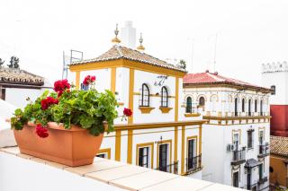 Hotel Boutique Elvira Plaza - Siviglia - 4