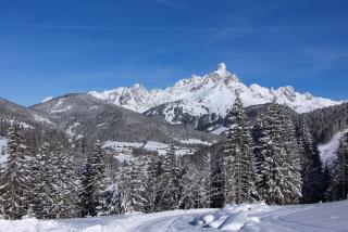 Apartements Richlegghof - Filzmoos - 8