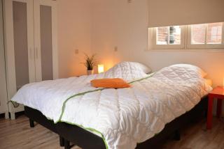DBR69 Cozy Holiday home in Domburg, only 50 m to the beach - Domburg - 7