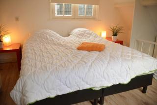 DBR69 Cozy Holiday home in Domburg, only 50 m to the beach - Domburg - 2