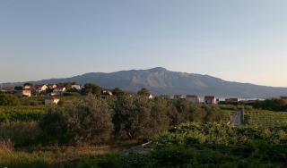 Holiday Home Kata - 1