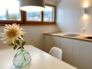 Gemütliche Ferienwohnung am Tegernsee - ruhig im Dachgeschoss - Bad Wiessee - 0