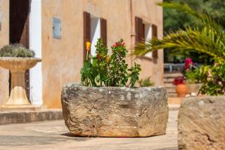 Finca Cavea - 5