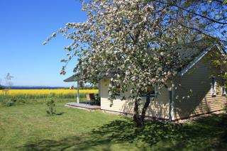 Ferienhaus Miramar - Gelting - 0
