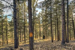 Bigfoot Lodge - Angel Fire - 9