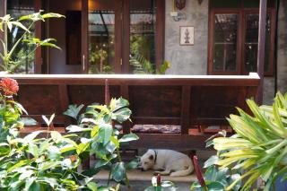 Wanmai House - Chiang Mai - 7