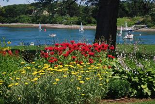 Dockside Guest Quarters - York - 8