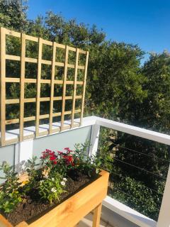 19 Malachite Mews - Knysna - 1