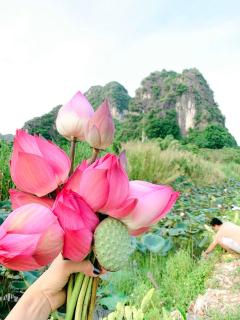Lotus Field Homestay - 8