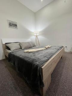 Stari Zaječar apartments - Zaječar - 1