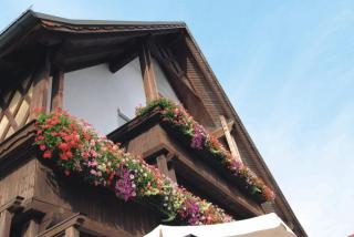 Gasthaus zur Traube - Winterrieden - 7