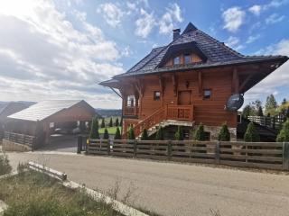Vila Engelshof - Zlatibor - Zlatibor - 7