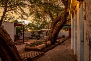 La Casa del Sol Naciente - 6