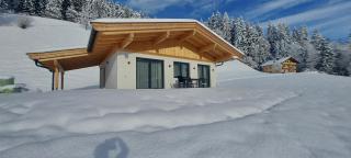 Ferienhaus zur Biene - Söll - 9