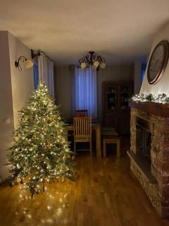 Remarkable home Bohinj Lake - Bohinj - 0