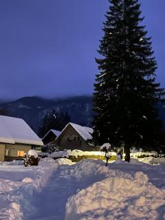 Remarkable home Bohinj Lake - Bohinj - 2