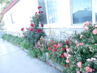 Supai Motel - Seligman - 7
