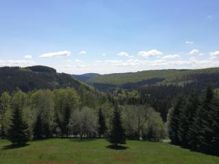 Appart-Hotel Harmonie - Winterberg - 8