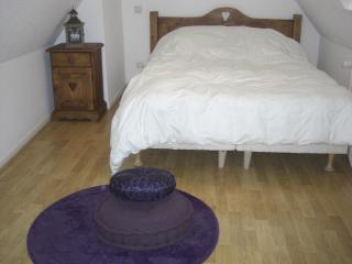 Les appartements du Koifhus - Colmar - 9
