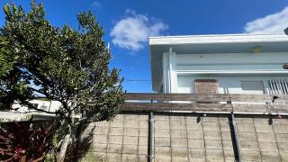 rupo green - 1