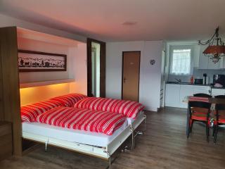 Elfe-apartments Studio for 2-4 guests with balcony and panorama view - Emmetten - 5
