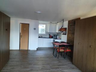 Elfe-apartments Studio for 2-4 guests with balcony and panorama view - Emmetten - 4