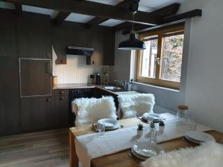 Bright renovated studio - 1 min from the slopes! - 0