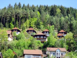 Holiday Home Sonnenschein by Interhome - Hornberg - 7