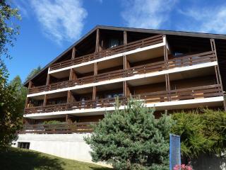 Apartment Centaure B RI 1 by Interhome - Ovronnaz - 4