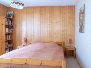Apartment Centaure B RI 1 by Interhome - Ovronnaz - 7