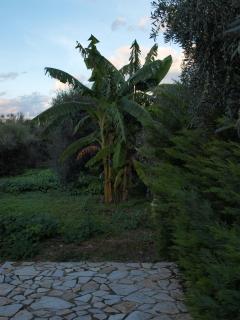 Family Private Summer Homes w. Yards near Beach - Galatás - 3