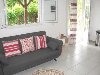 Appartement charmant, Saint-Esprit, 40 m², vue sur la montagne. - Morne la Valeur - 4