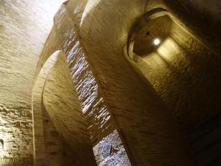 AGORA' Castelnuovo della Daunia - Castelnuovo della Daunia - 2