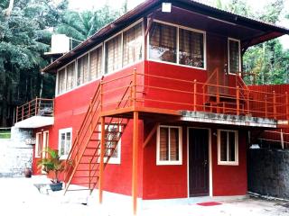 CS County Resort - Sakleshpur - 3