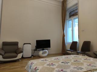 Falk Miksa Apartment - 4