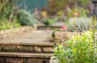 Lanes Cottage - Chipping Campden - 1