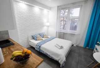 Apartament Estakada 2 - Częstochowa - 2