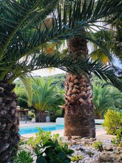 Le Jas des Oliviers 3 étoiles - Le Castellet - 9
