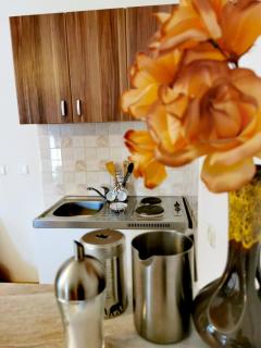 Stan na dan, JELENA, ljupki apartman sa parkingom - 1