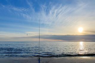 Top of the Gulf 708 - 9