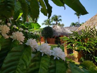 Solazul - Las Galeras - 2