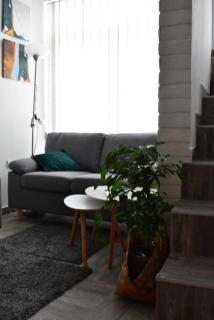 Damun - Belgrado - 5