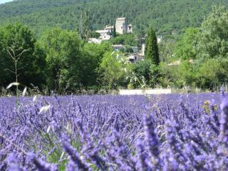 Le Mas des Restanques - Le Poët-Laval - 0