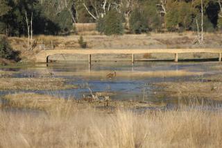 Glenlyon Dam Holiday Cottage & Farmstay - 2