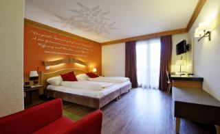 Hotel Kirchbühl Superior - Grindelwald - 8
