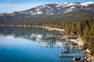 Peace Among the Pines - 2